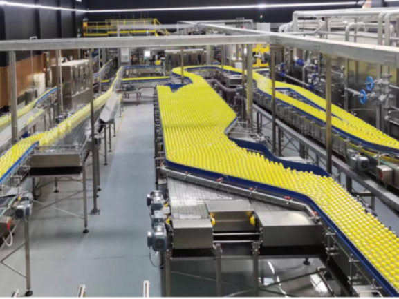 Bottle conveyors